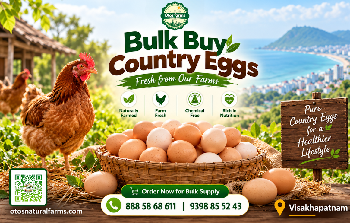 Bulk Buy Country Eggs Near Me in Visakhapatnam Natu Kodi Eggs